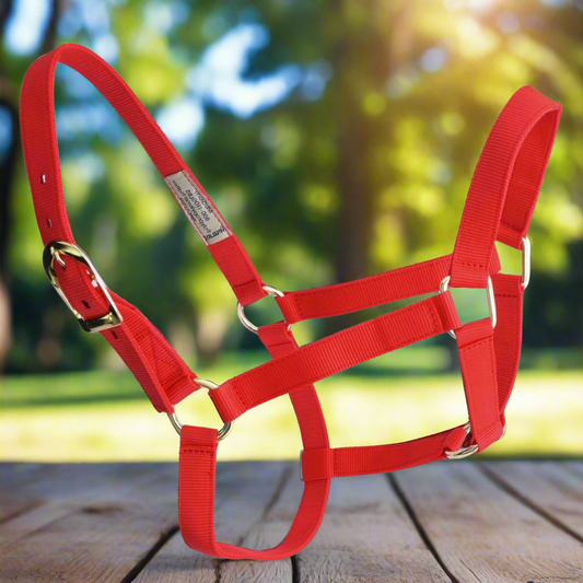 Almartigon o jaquima para Caballo TM-WD1122 Horse Halter