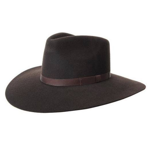 Dark brown fedora hat with a brown band on a white background