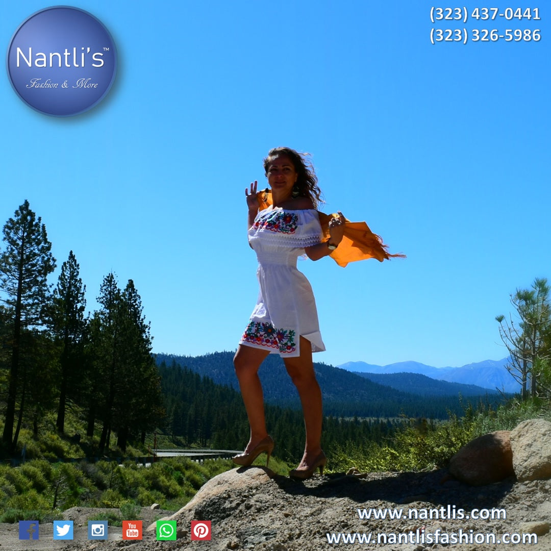 Vestido Bordado TM-77301 Embroidered Dress