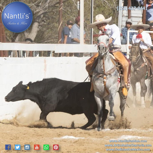 El “Coleadero” EL ARTE NACIDO EN EL CAMPO