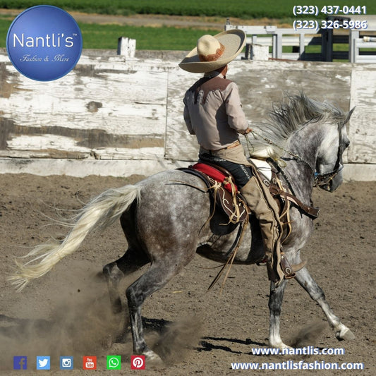 Riendas para Caballo y articulos para Charreria en Estados Unidos