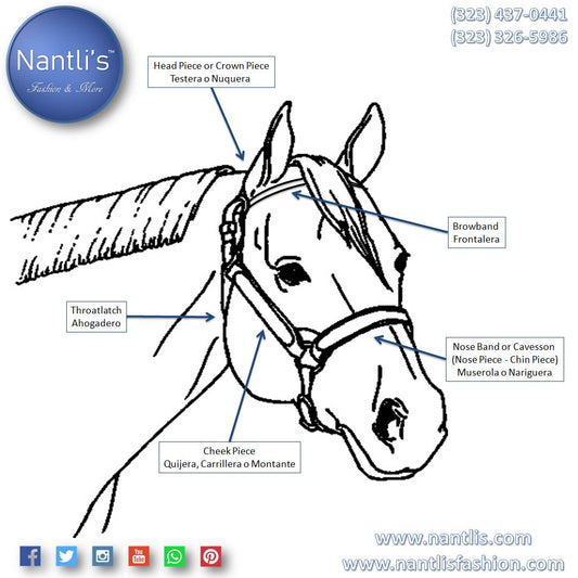Diferencia entre cabezada y jaquima o cabestro | Difference between headstall and halter