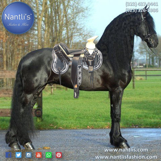 Sillas de Montar para Caballo y para Pony