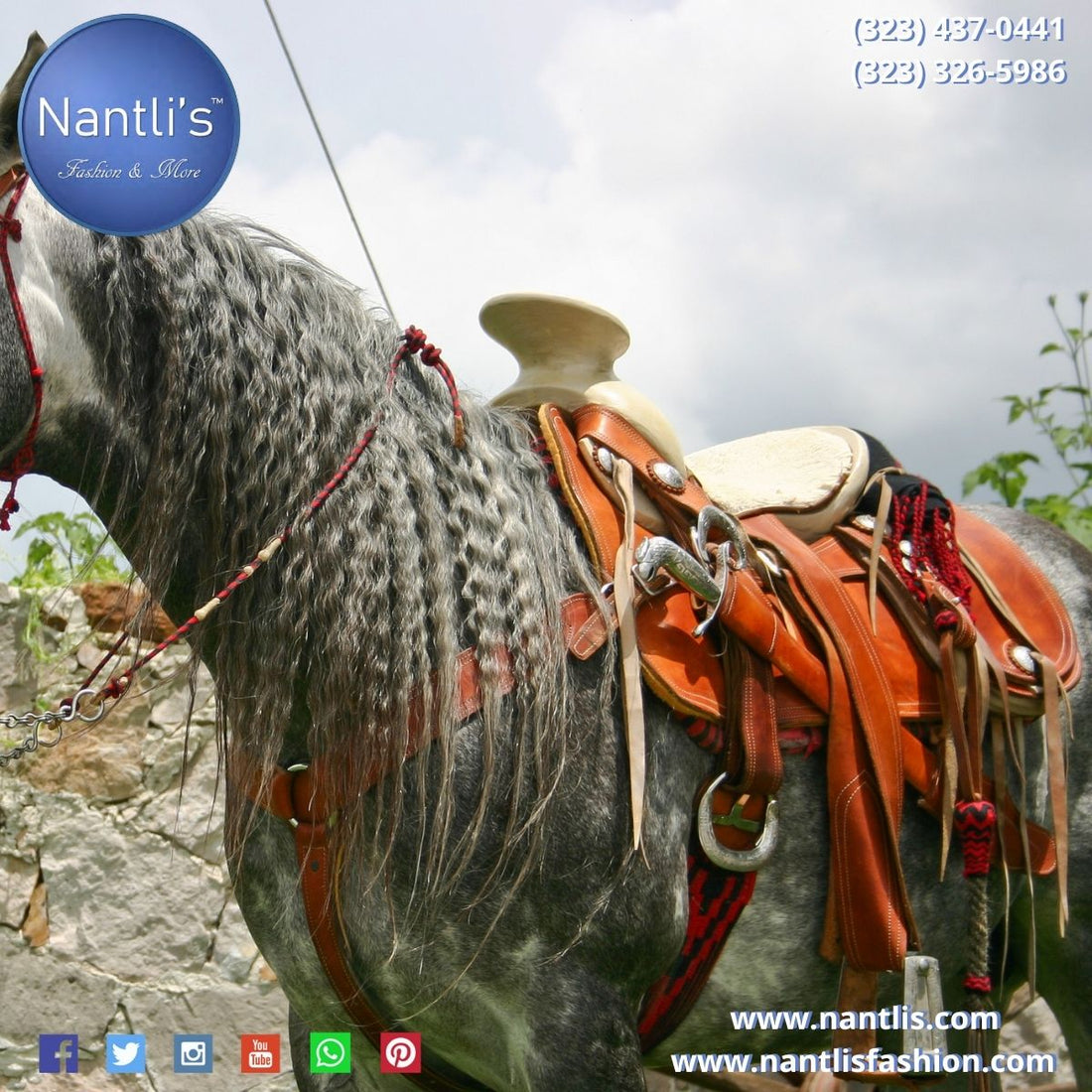 Sillas de Montar en Estados Unidos | Charro Horse Saddles