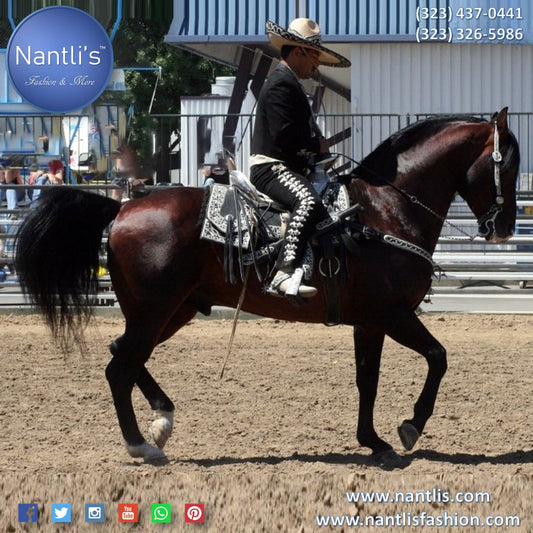 Top 10 Must-Have Horse and Poni Saddles for Charro Riders