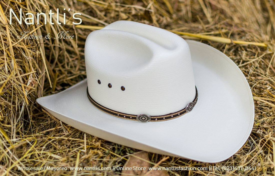 sombrero vaquero / cowboy hat 