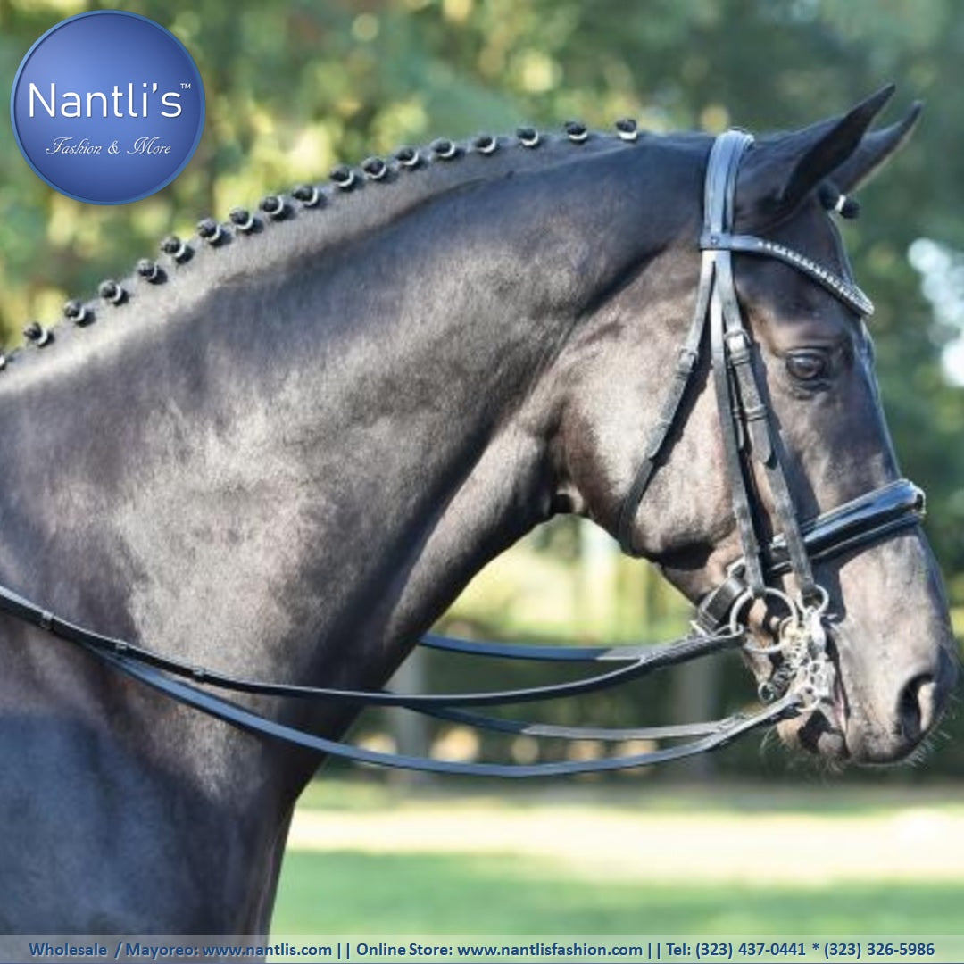 Riendas para Caballos y articulos para Charreria en Estados Unidos